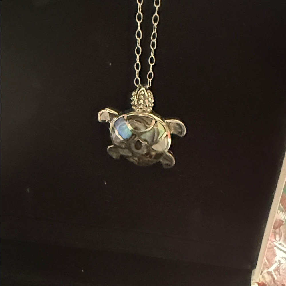 Sterling Silver Turtle Pendant Necklace - Picture 4 of 4